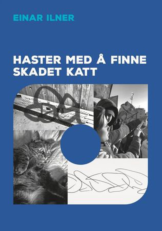 Haster med å finne skadet katt (ebok) av Einar Ilner