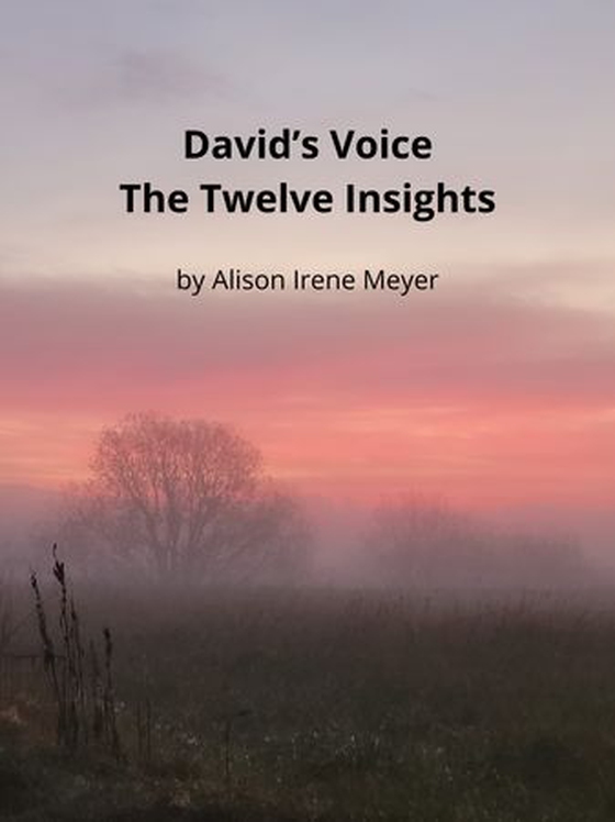 David's Voice - The Twelve Insights