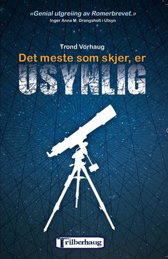 Det meste som skjer, er usynlig (ebok) av Trond Vorhaug