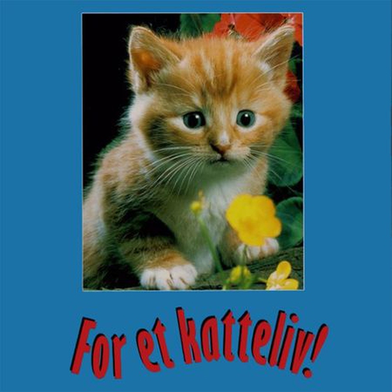 For et katteliv lydbok