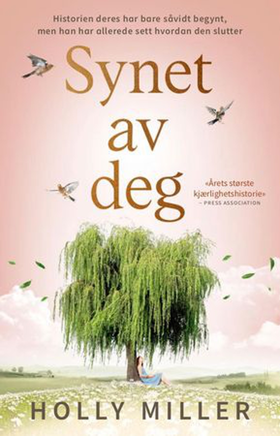 Synet av deg (ebok) av Holly Miller
