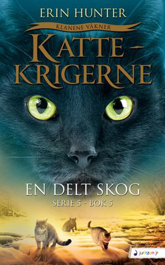 En delt skog