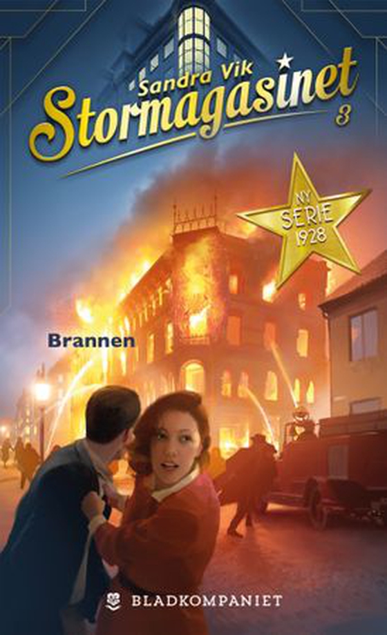 Brannen (ebok) av Sandra Vik