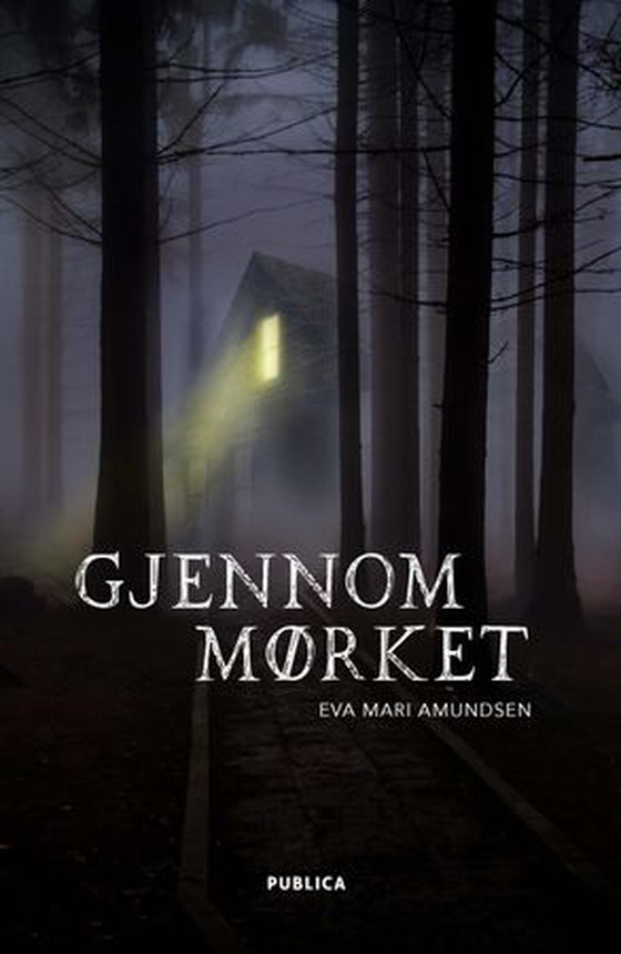 Gjennom mørket