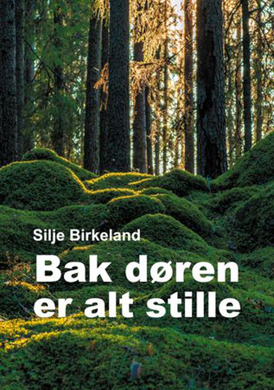 Bak døren er alt stille (ebok) av Silje Birkeland