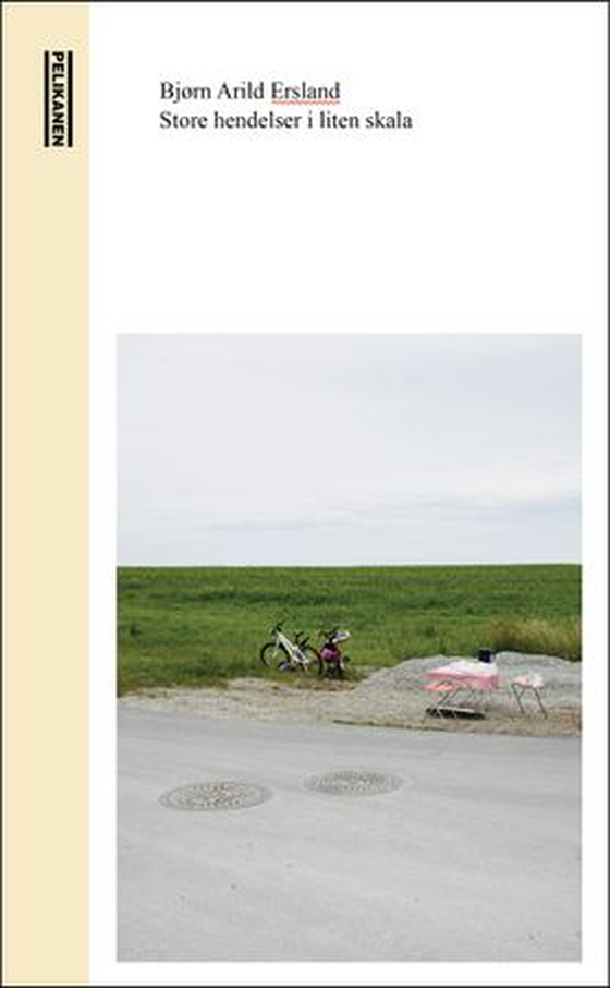 Store hendelser i liten skala (ebok) av Bjørn Arild Ersland