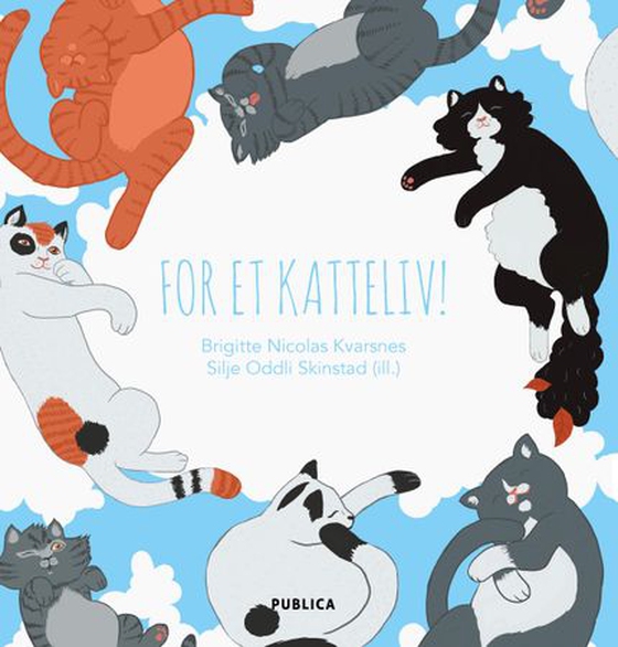 For et katteliv (lydbok) av Brigitte Nicolas Kvarsnes