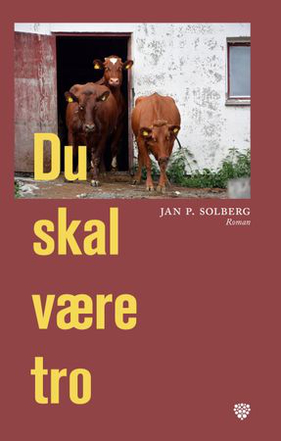 Du skal være tro - roman (ebok) av Jan P. Solberg