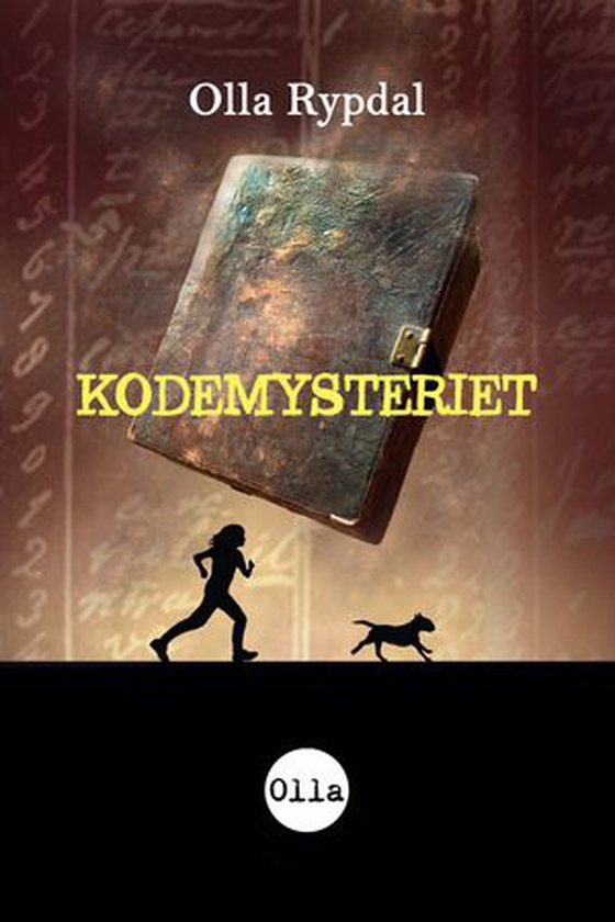 Kodemysteriet (ebok) av Olla Rypdal