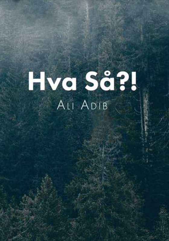 Hva så?! (ebok) av Ali Adib
