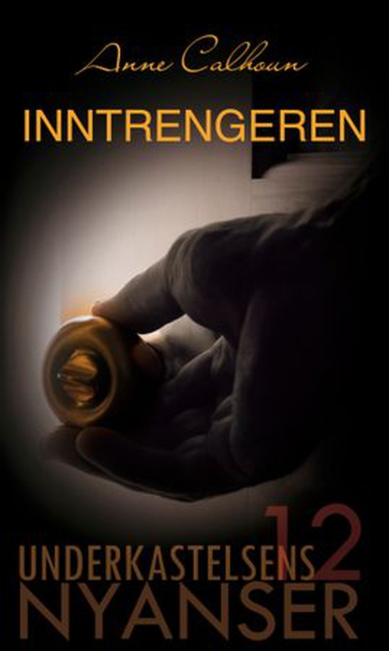 Inntrengeren (ebok) av Anne Calhoun