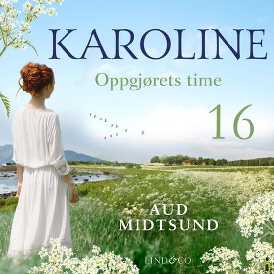 Oppgjørets time (lydbok) av Aud Midtsund