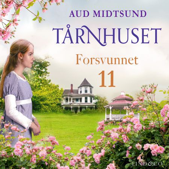 Forsvunnet (lydbok) av Aud Midtsund