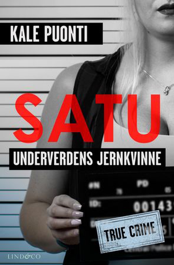 Satu - underverdens jernkvinne (ebok) av Kale Puonti