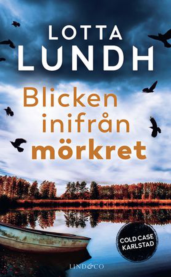 Blikket fra mørket (ebok) av Lotta Lundh