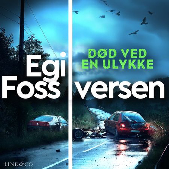 Død ved en ulykke