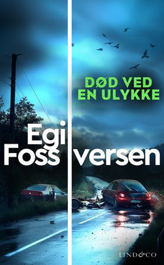 Død ved en ulykke (ebok) av Egil Foss Iversen
