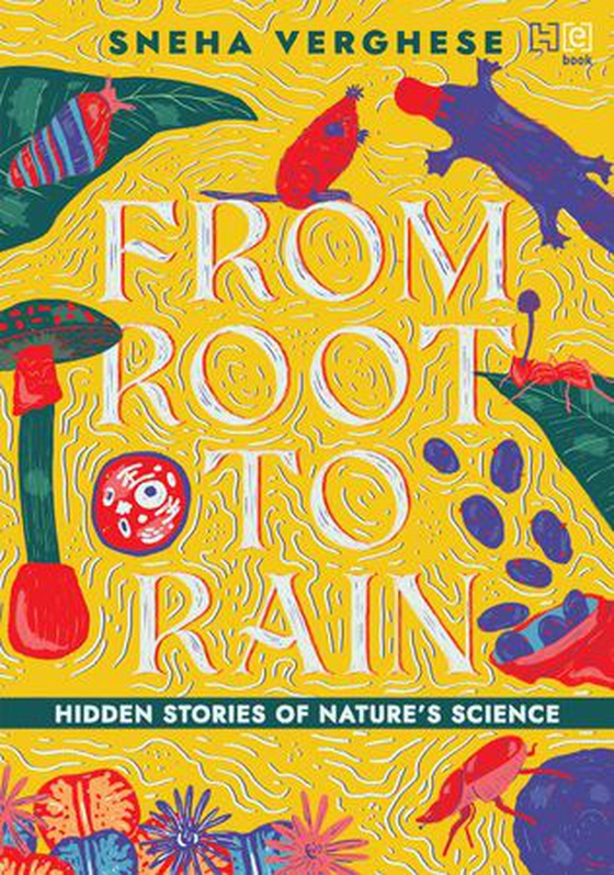 From Root to Rain