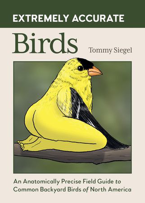 Extremely accurate birds