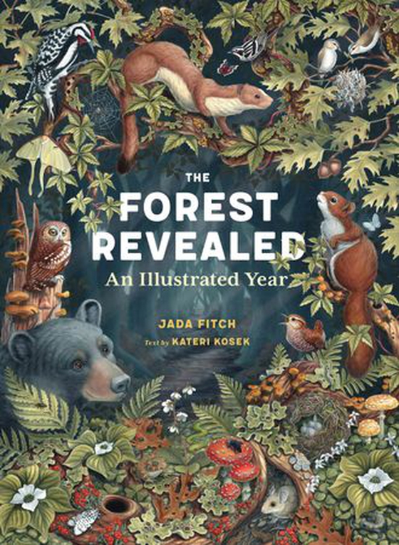 The Forest Revealed - An Illustrated Year (ebok) av Jada Fitch