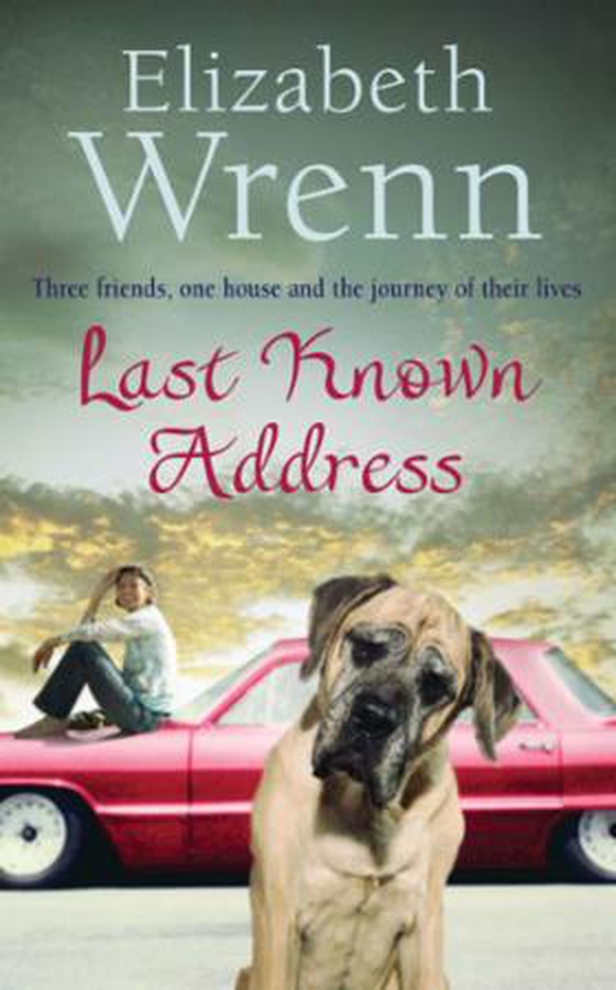 Last Known Address (ebok) av Elizabeth Wrenn