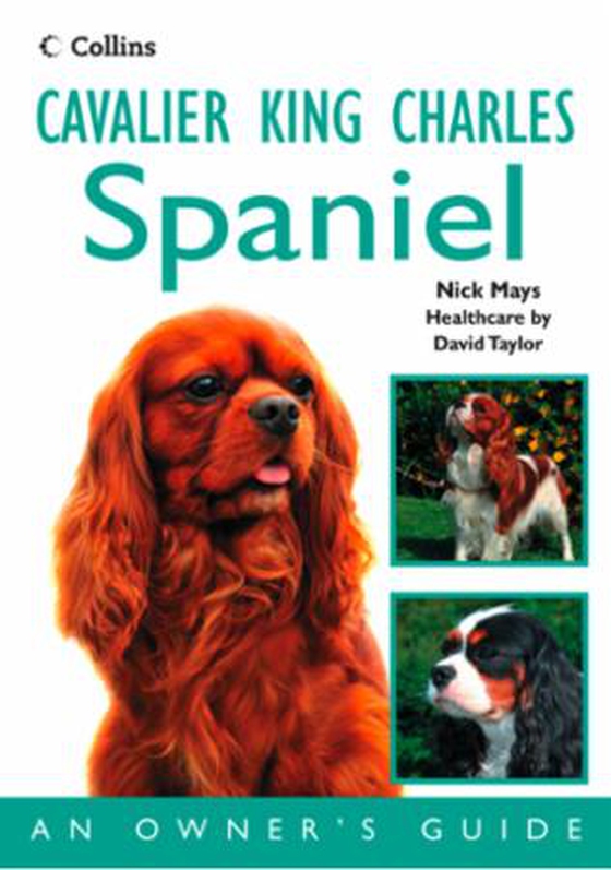 Cavalier King Charles Spaniel - An Owner's Guide (ebok) av Nick Mays