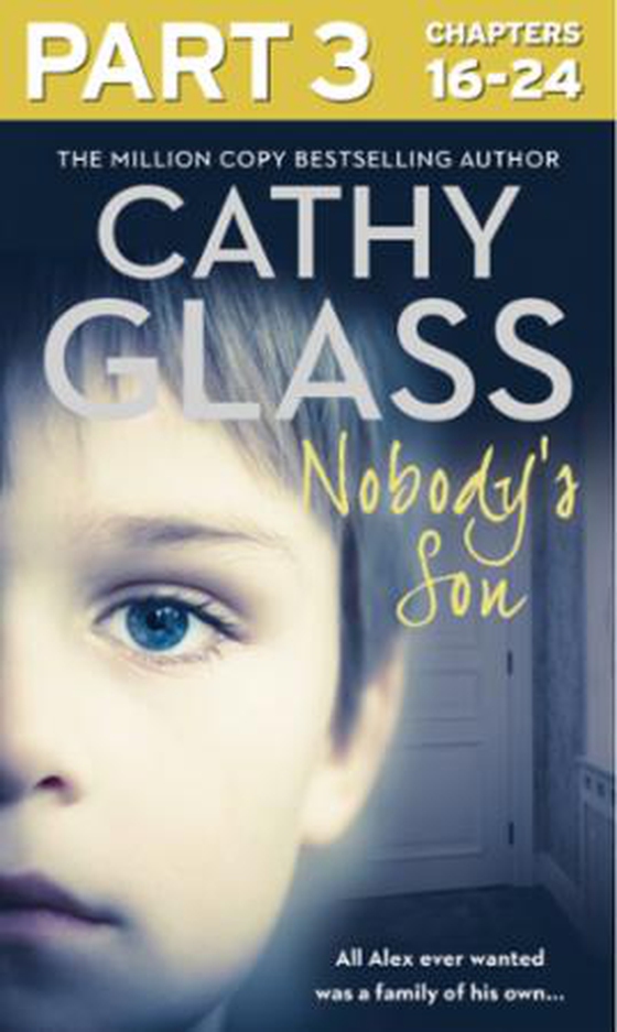 Nobody's Son: Part 3 of 3 - All Alex ever wanted was a family of his own (ebok) av Cathy Glass