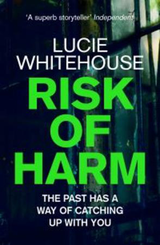 Risk of Harm (ebok) av Lucie Whitehouse