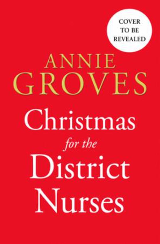 Christmas for the District Nurses