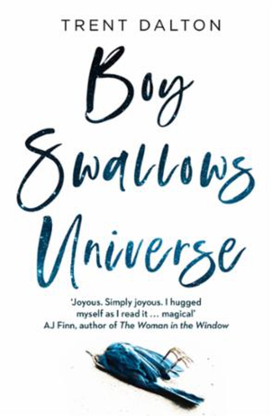 Boy Swallows Universe