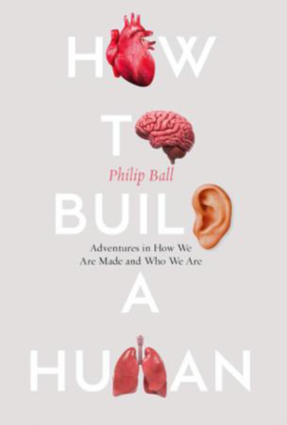 How to Grow a Human