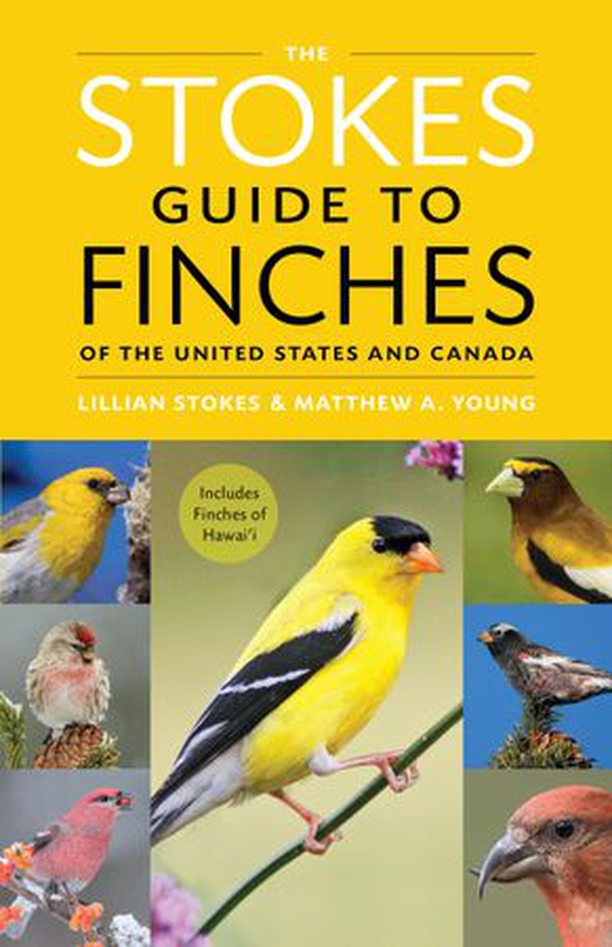 The Stokes Guide to Finches of the United States and Canada (ebok) av Lillian Q. Stokes