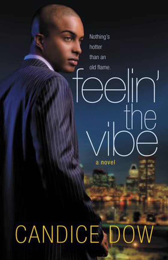 Feelin' the Vibe (ebok) av Candice Dow