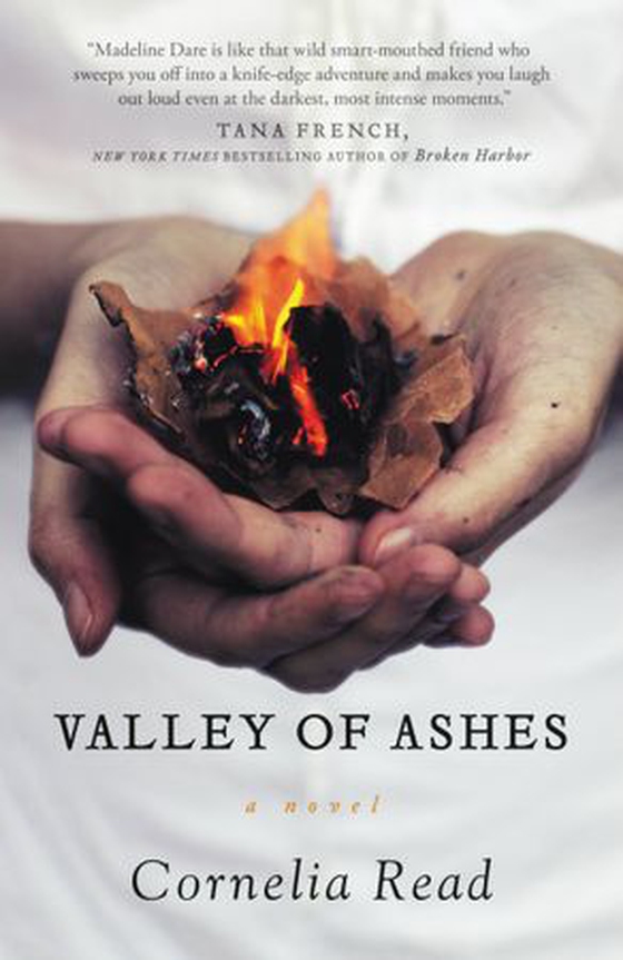 Valley of Ashes (ebok) av Ukjent