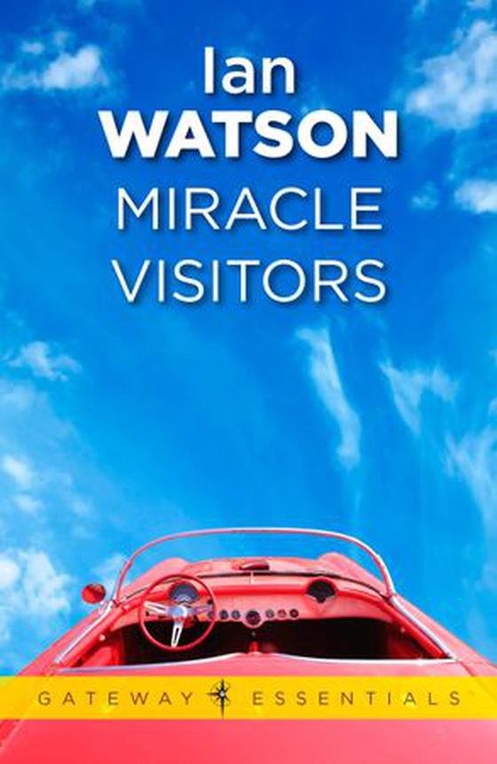 Miracle Visitors