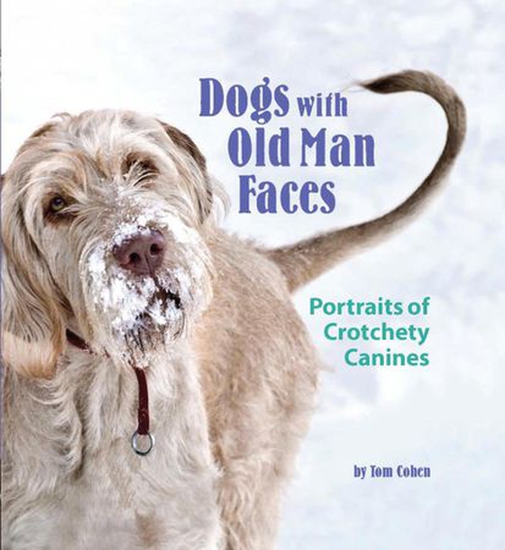 Dogs with Old Man Faces - Portraits of Crotchety Canines (ebok) av Tom Cohen