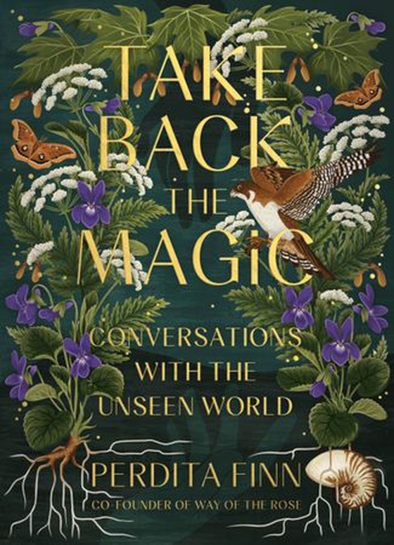 Take Back the Magic - Conversations with the Unseen World (ebok) av Ukjent