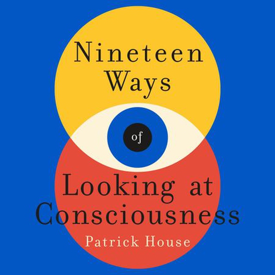 Nineteen Ways of Looking at Consciousness - Our leading theories of how your brain really works (lydbok) av Patrick House