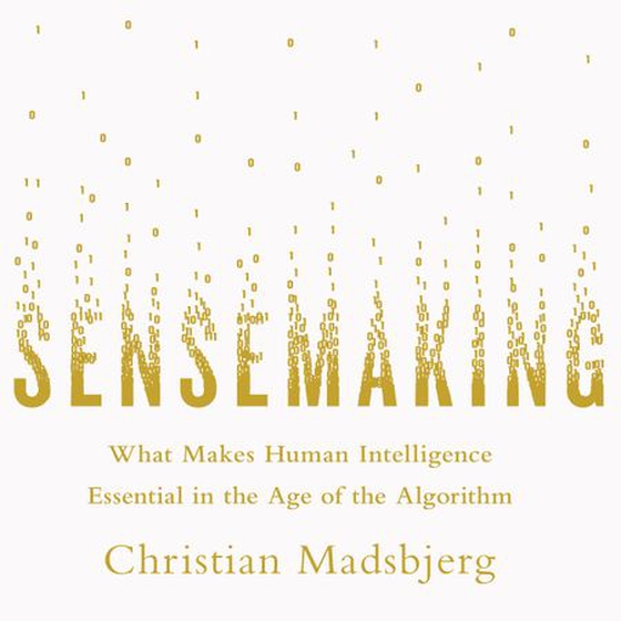 Sensemaking