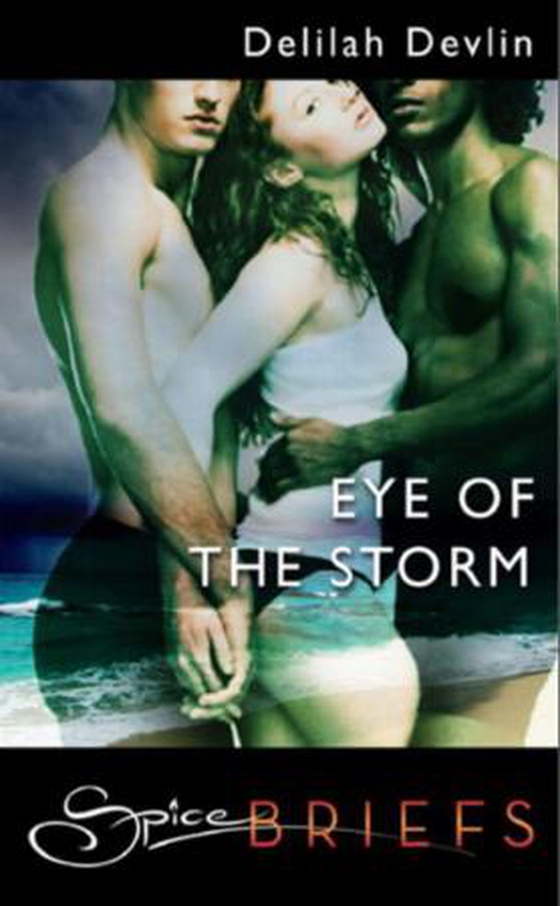 Eye of the storm (ebok) av Delilah Devlin