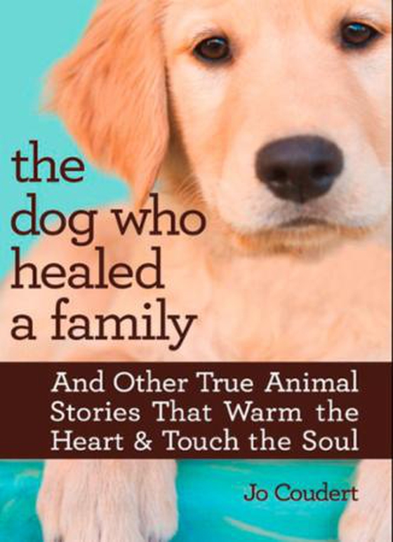 The Dog Who Healed a Family