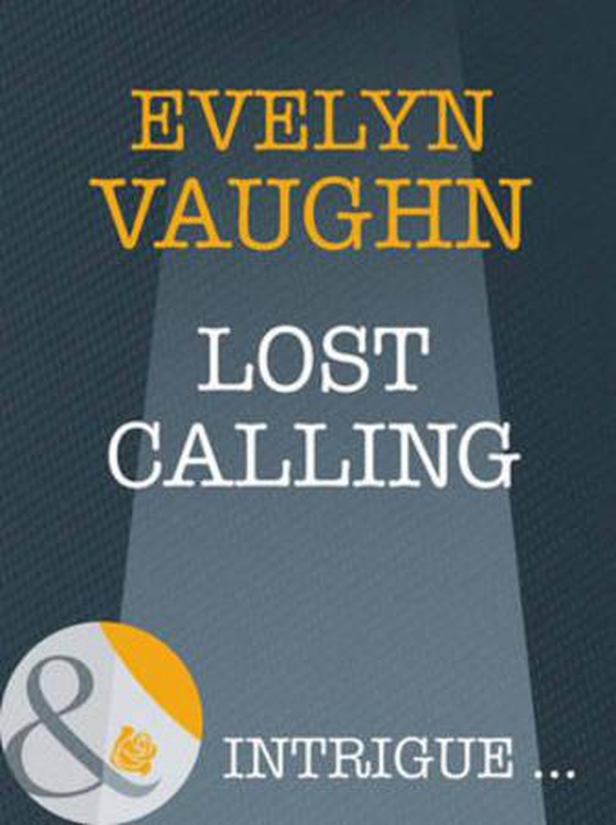 The the madonna key (ebok) av Evelyn Vaughn