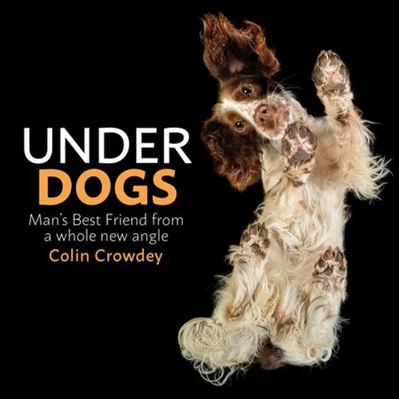 Underdogs (ebok) av Colin Crowdey