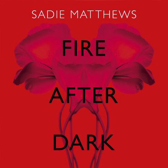 Fire After Dark (After Dark Book 1)