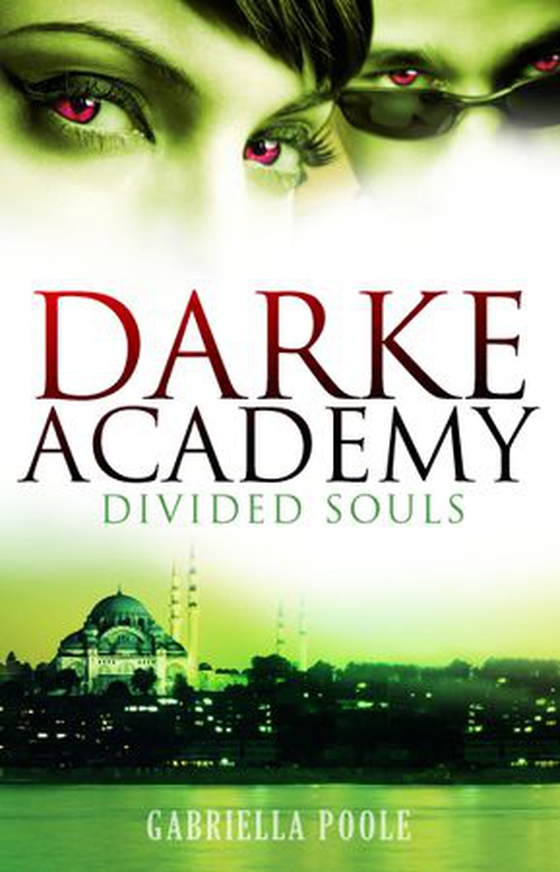 Divided Souls - Book 3 (ebok) av Gabriella Poole