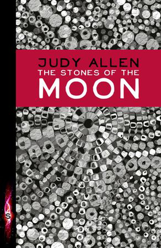 The Stones Of The Moon (ebok) av Judy Allen