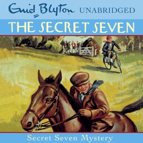 Secret Seven Mystery