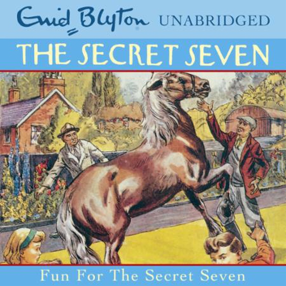 Fun For The Secret Seven