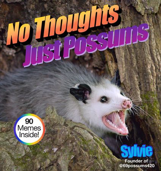 No Thoughts Just Possums - 90 Hilarious Memes (ebok) av Sylvie