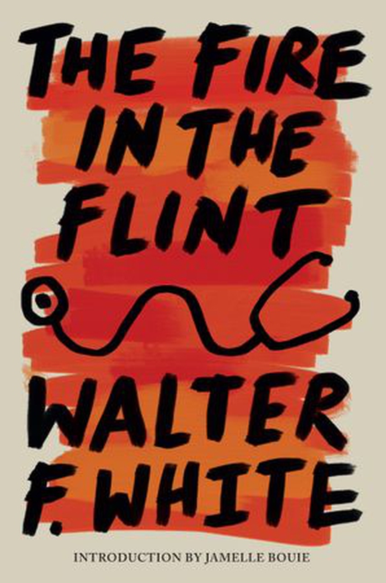 The Fire in the Flint (ebok) av Walter F. White